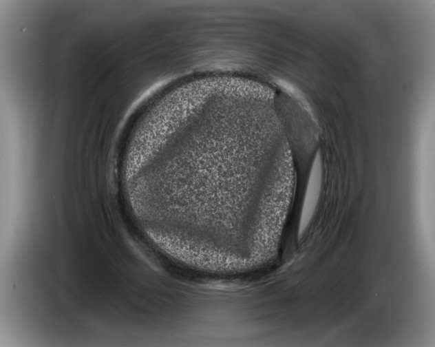 X0000083580680200703091659