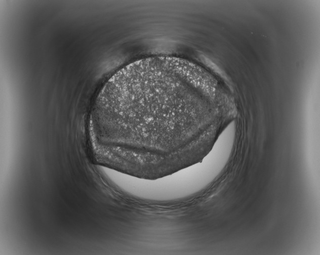 X0000083580681200703091659