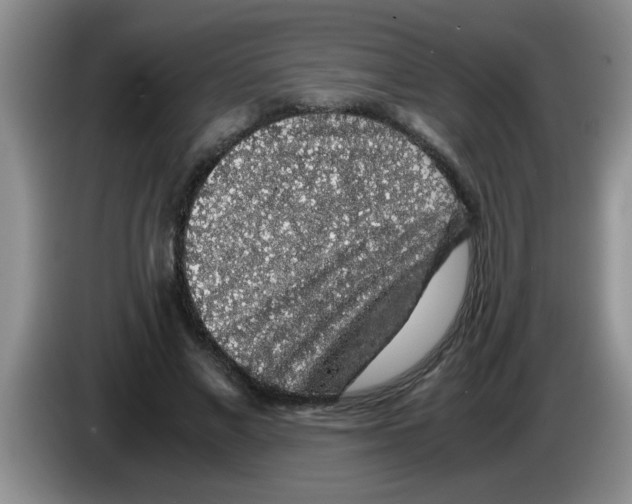 X0000083580685200703091659