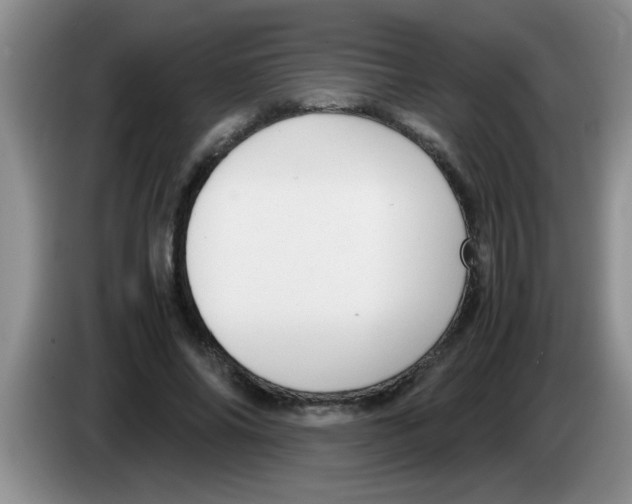 X0000083580686200703091659