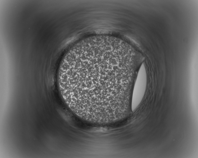 X0000083580687200703091659