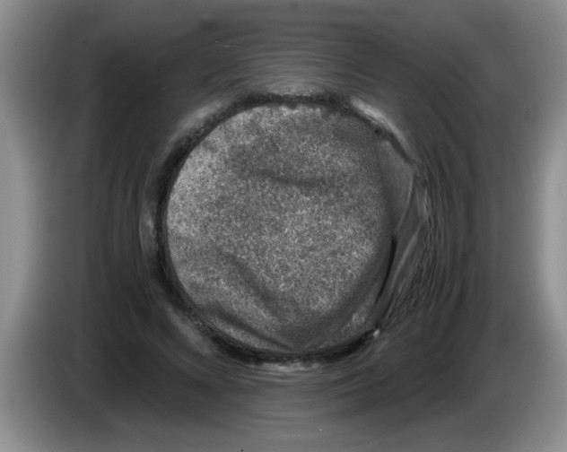 X0000083580688200703091659