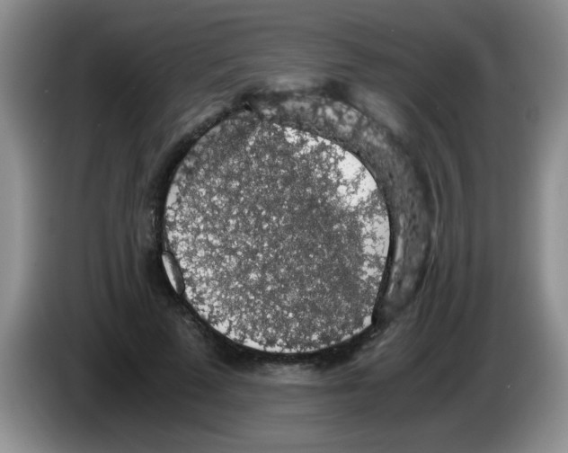 X0000083580689200703091659