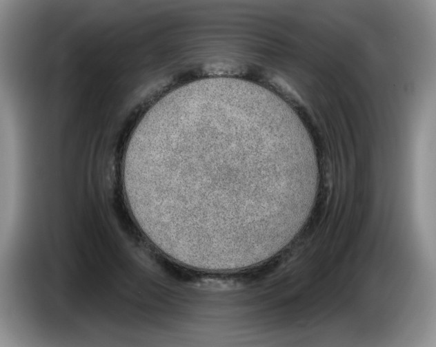 X0000083580690200703091659