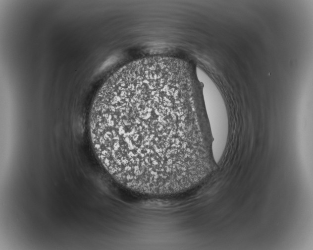 X0000083580691200703091659