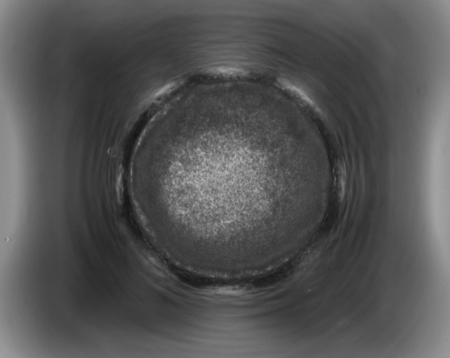 X0000083580692200703091659
