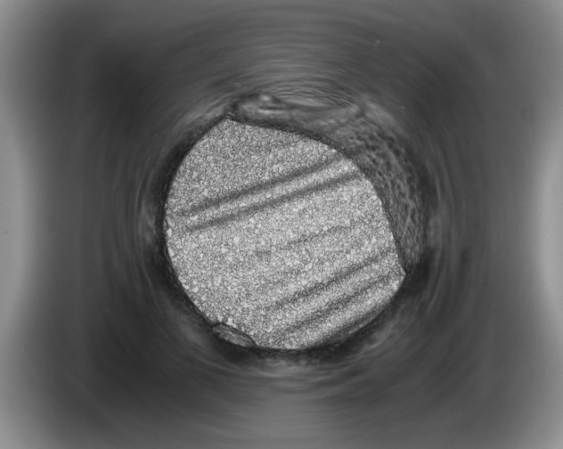 X0000083580693200703091659