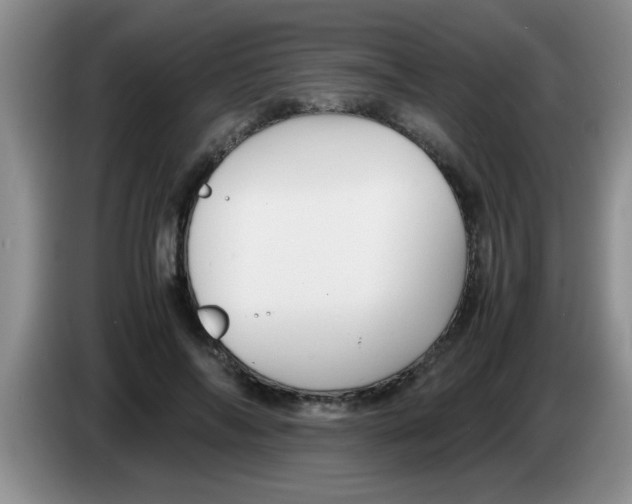 X0000083580694200703091659