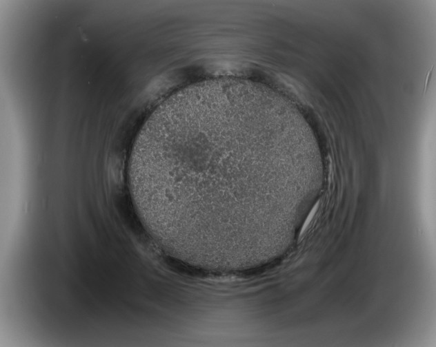 X0000083580695200703091659