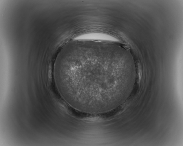 X0000083580696200703091659