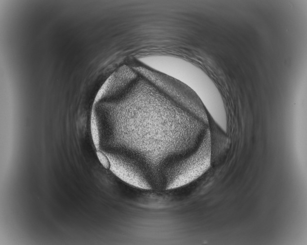 X0000083580697200703091658