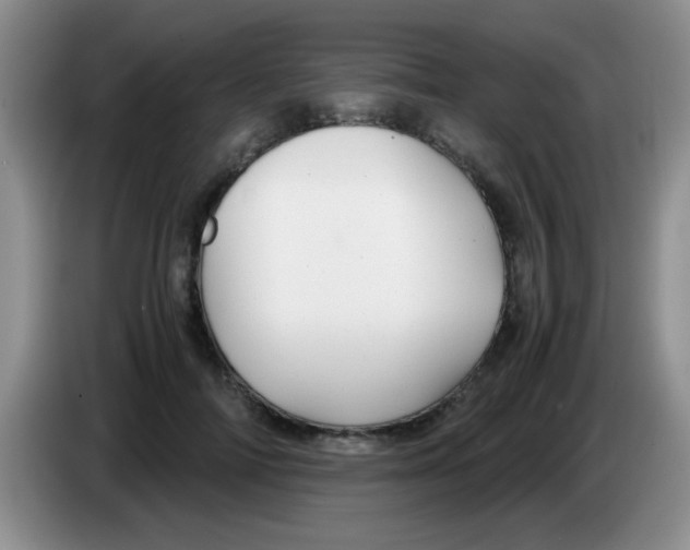 X0000083580698200703091658