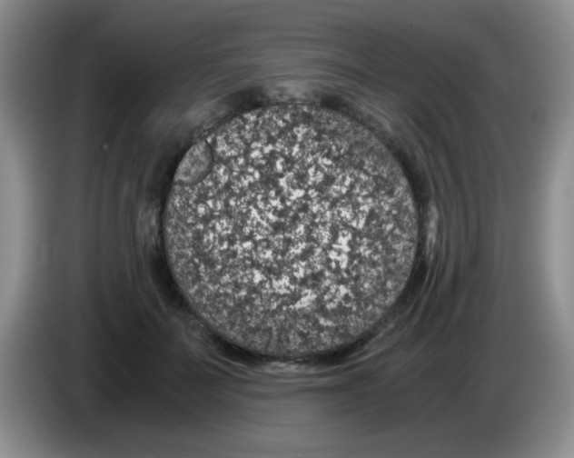 X0000083580699200703091658