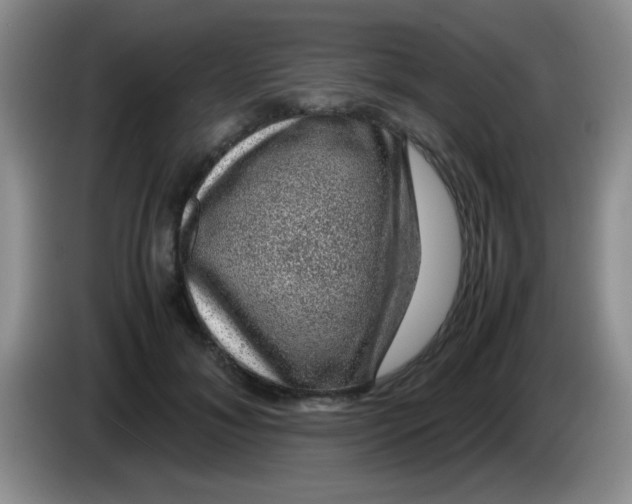 X0000083580700200703091658