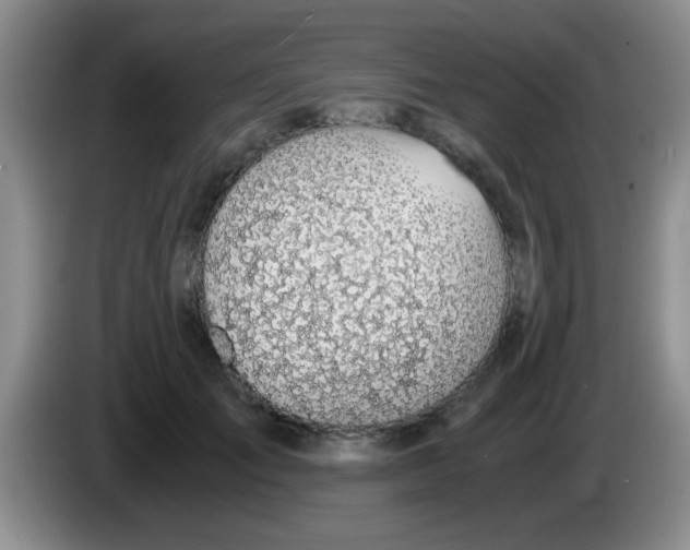 X0000083580701200703091658