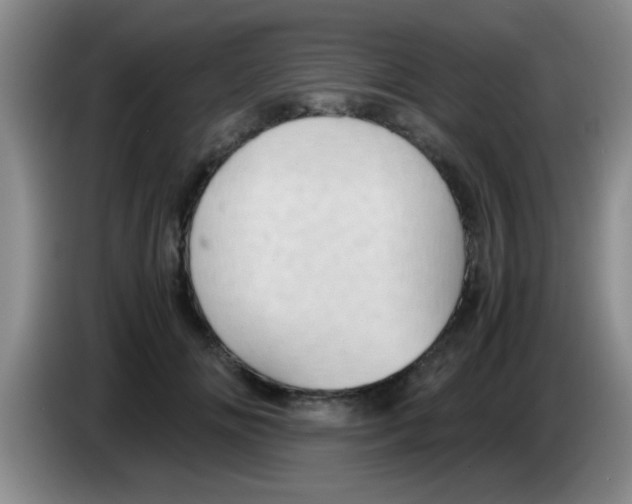 X0000083580702200703091658