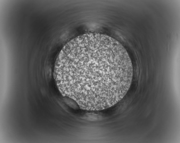 X0000083580703200703091658