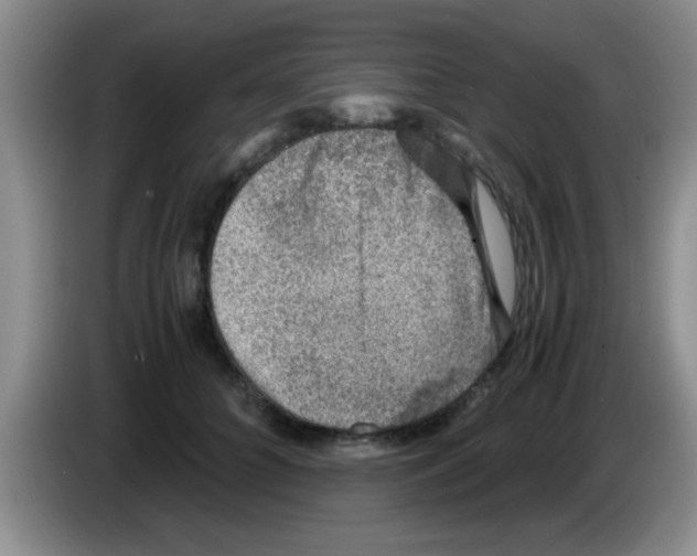 X0000083580704200703091658