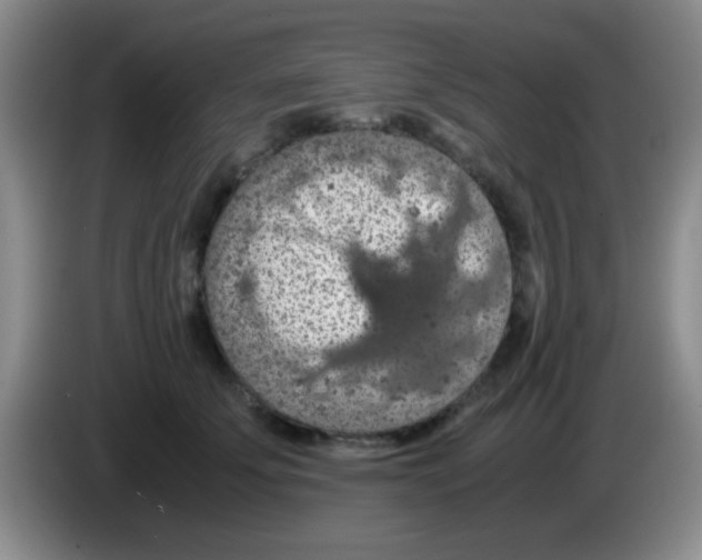 X0000083580707200703091658