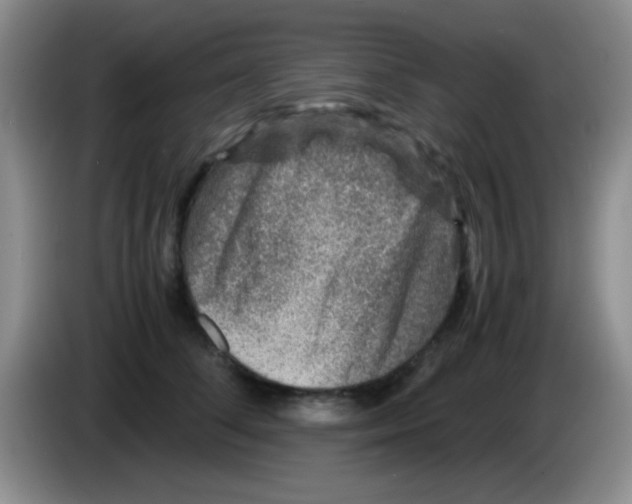 X0000083580708200703091658