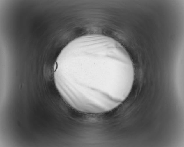 X0000083580709200703091658