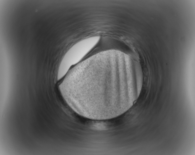 X0000083580710200703091658