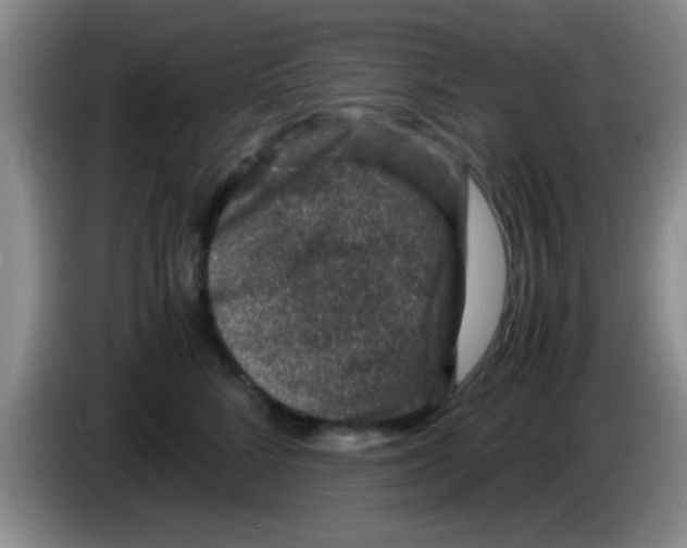 X0000083580712200703091658
