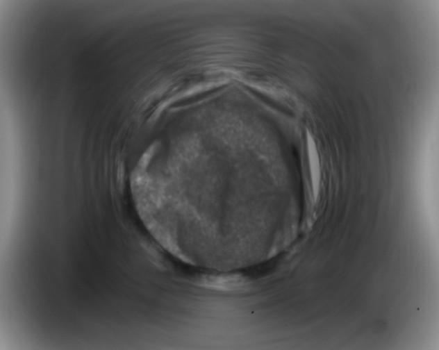 X0000083580716200703091658