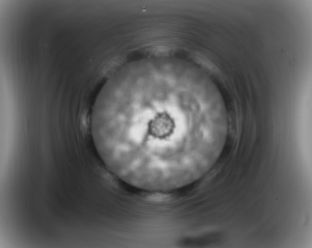 X0000083580718200703091658