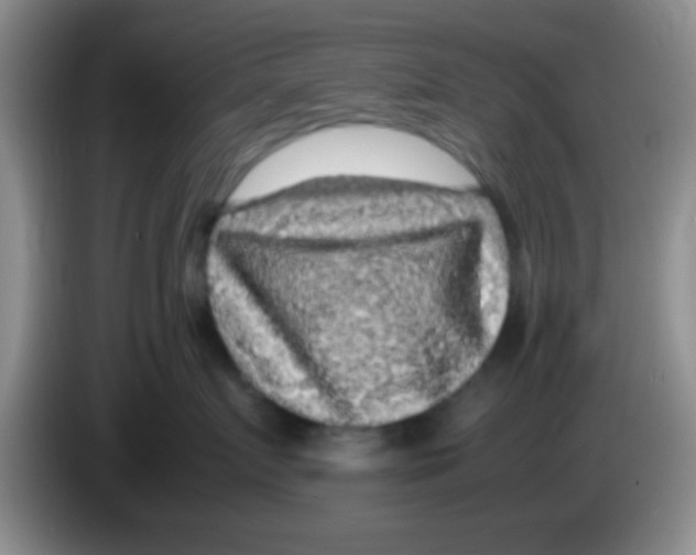 X0000083580719200703091658