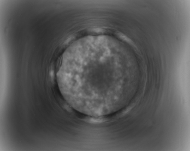 X0000083580720200703091658