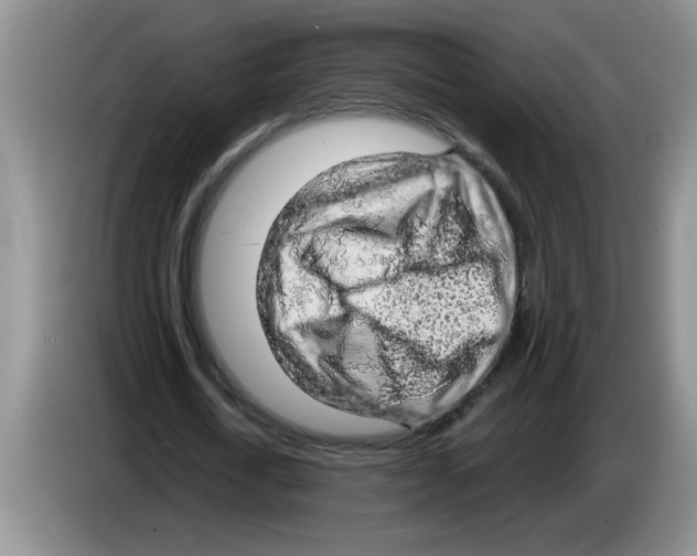 X0000083580722200703091658