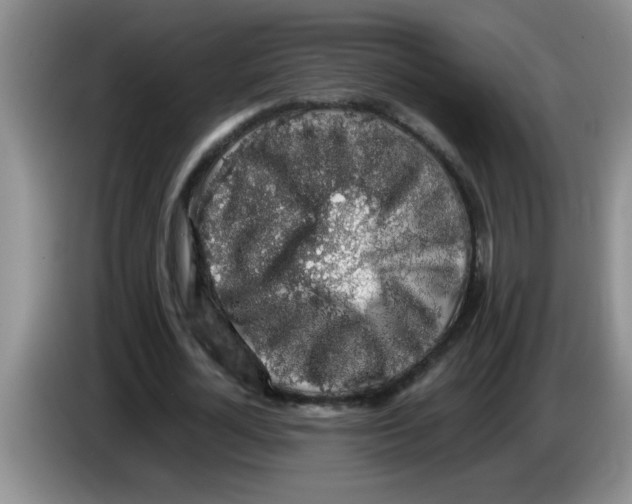 X0000083580724200703091658