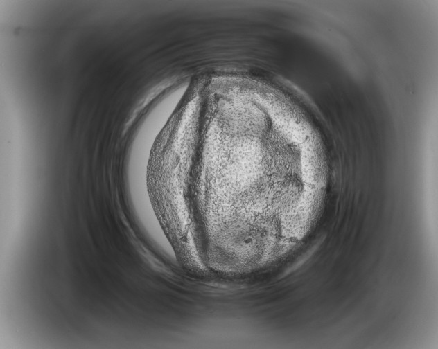 X0000083580725200703091658