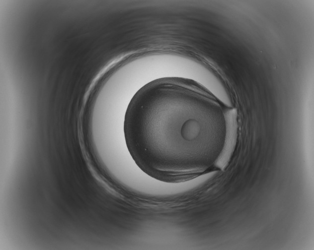 X0000083580726200703091658