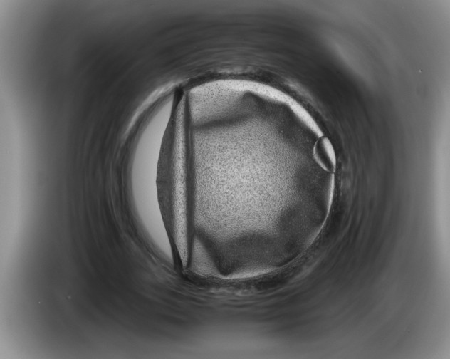 X0000083580727200703091658