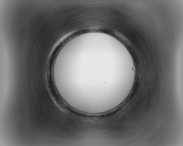 X0000083580728200703091658