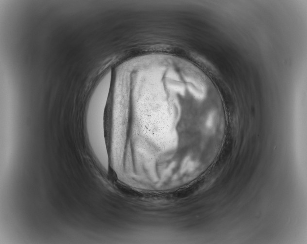 X0000083580729200703091658