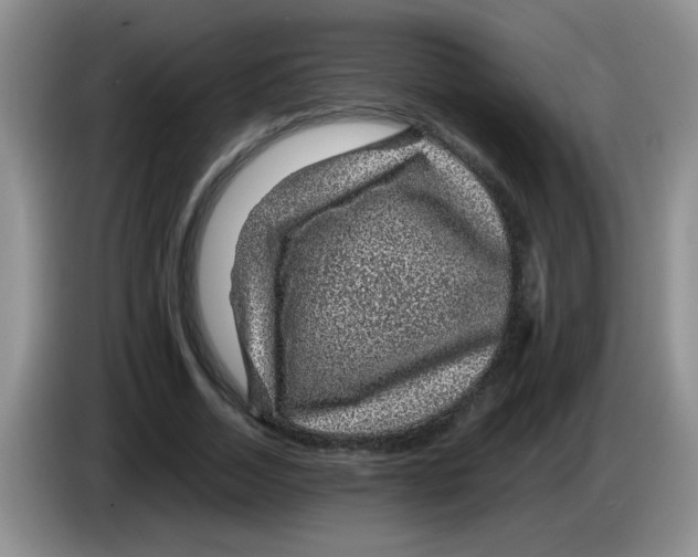 X0000083580730200703091658