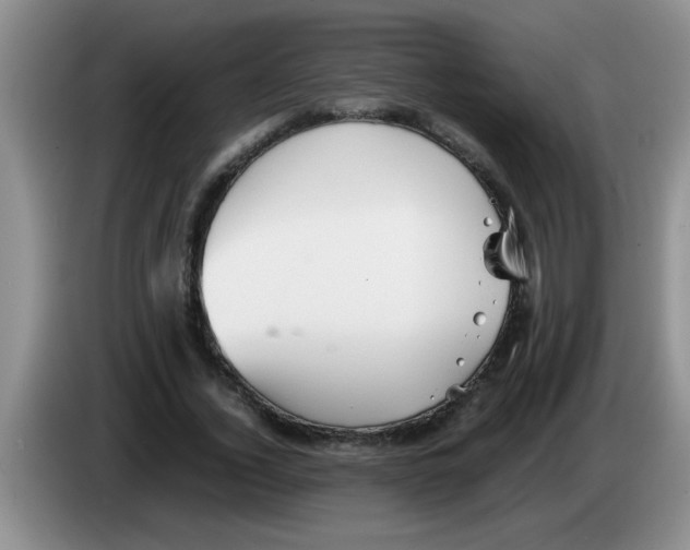 X0000083580732200703091658