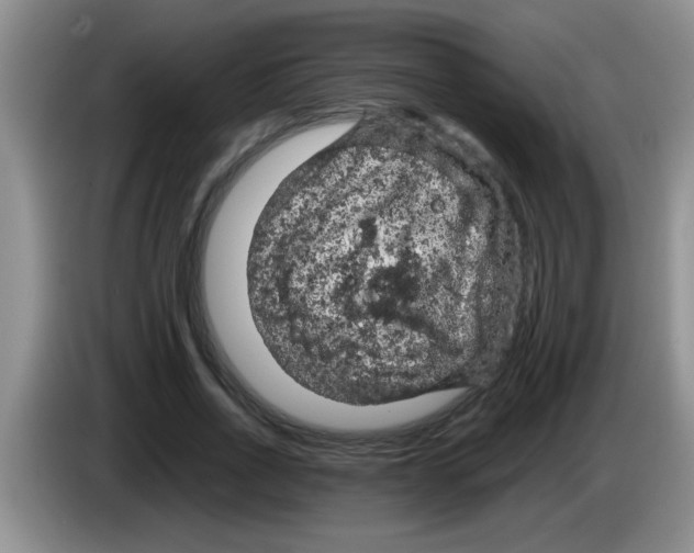X0000083580734200703091658
