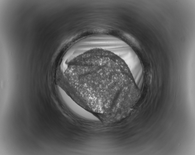 X0000083580736200703091658