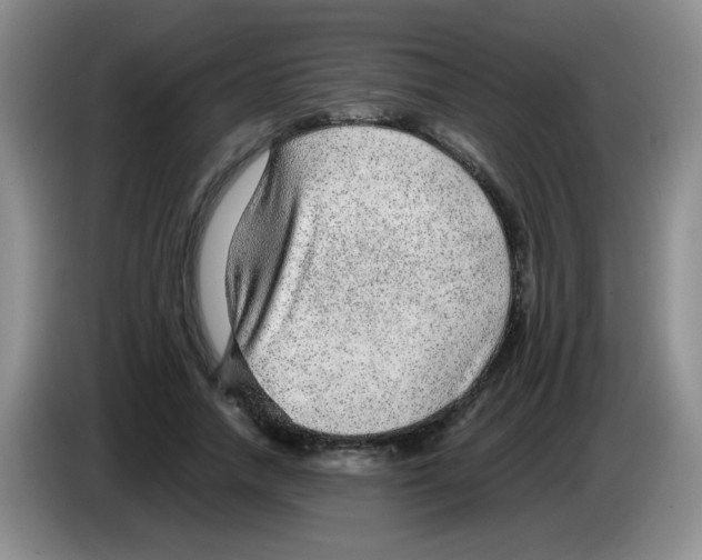 X0000083580738200703091658