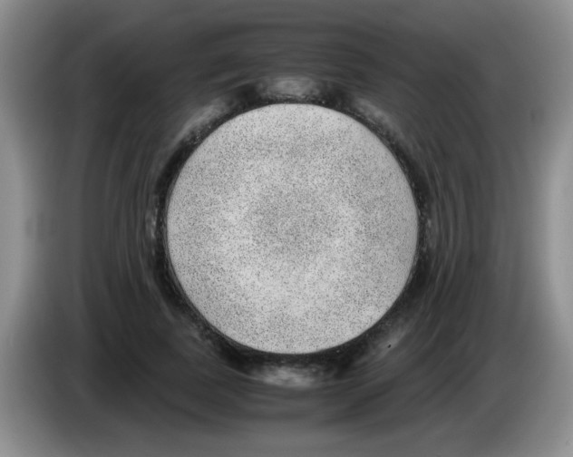 X0000083580739200703091658