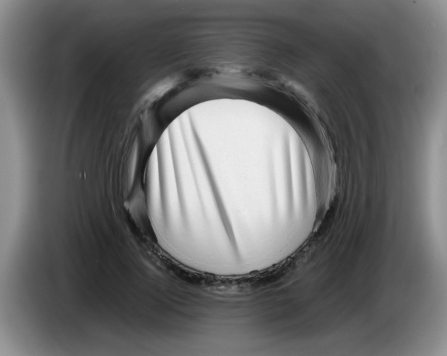 X0000083580740200703091658
