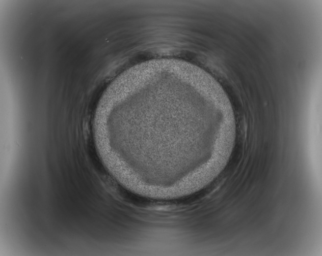 X0000083580746200703091658