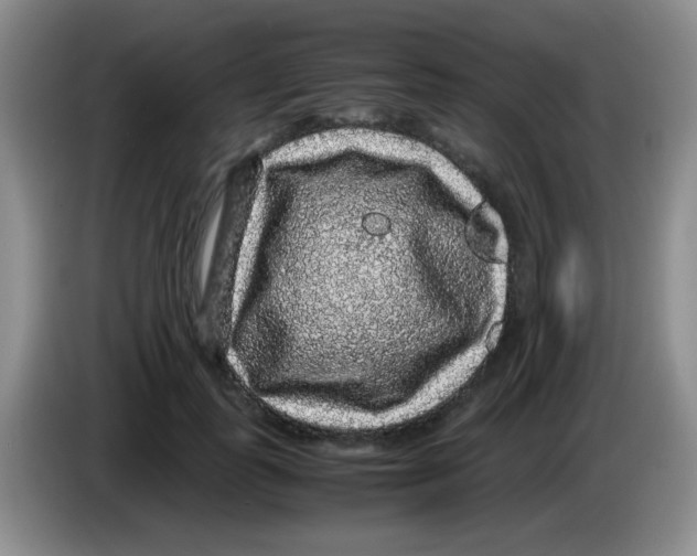 X0000083580747200703091658