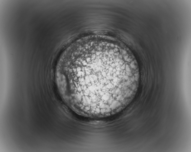 X0000083580748200703091658