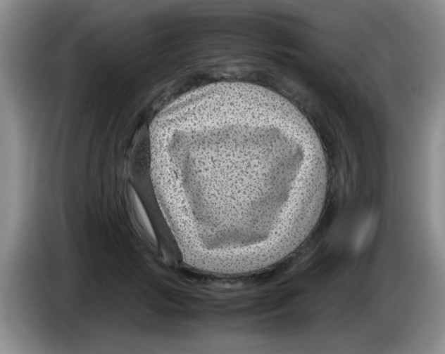X0000083580749200703091658