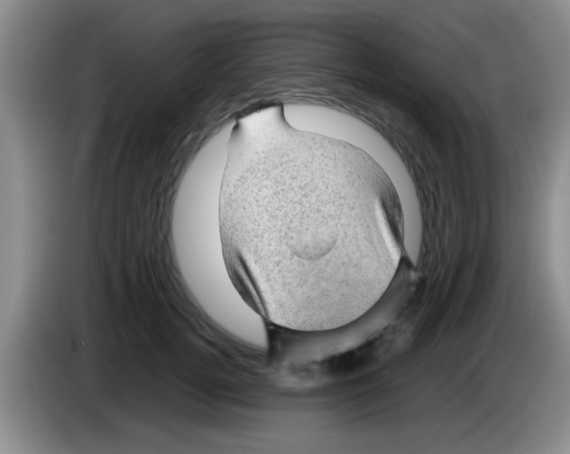 X0000083580752200703091658